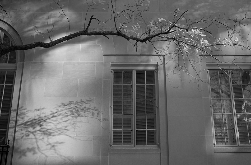 Infrared Photo of Tree Branch and Shadow on Stone Building.